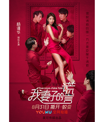 我妻子的谎言